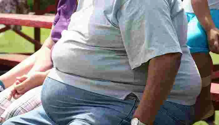 Obesity: స్థూలకాయంపై ఆర్థిక సర్వేలో షాకింగ్ విషయాలు.. 