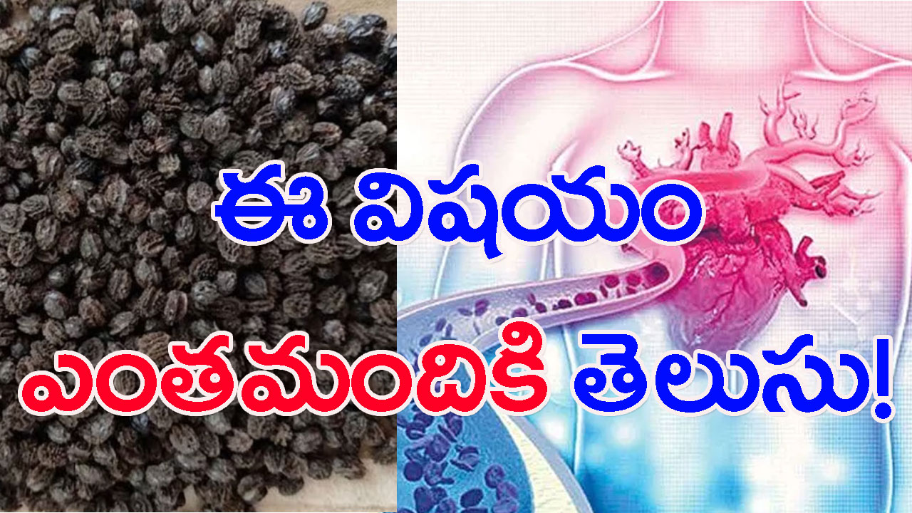 Papaya Seeds: ఈ గింజల్లో ఎన్ని ఆరోగ్య ప్రయోజనాలో..