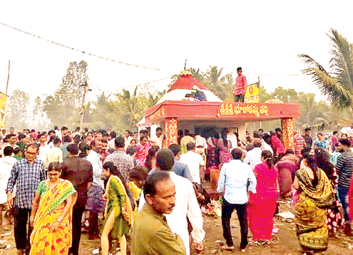 ఘనంగా రాజమ్మ సంబరం | Grand celebration of Rajamma