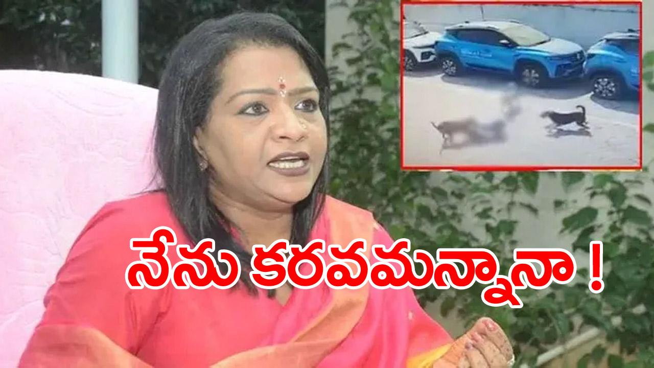 Stray Dogs Attack: ఎవరినో కుక్క కరిస్తే.. నేనే కరవమన్నట్లు చేశారు: జీహెచ్ఎంసీ విజయలక్ష్మి