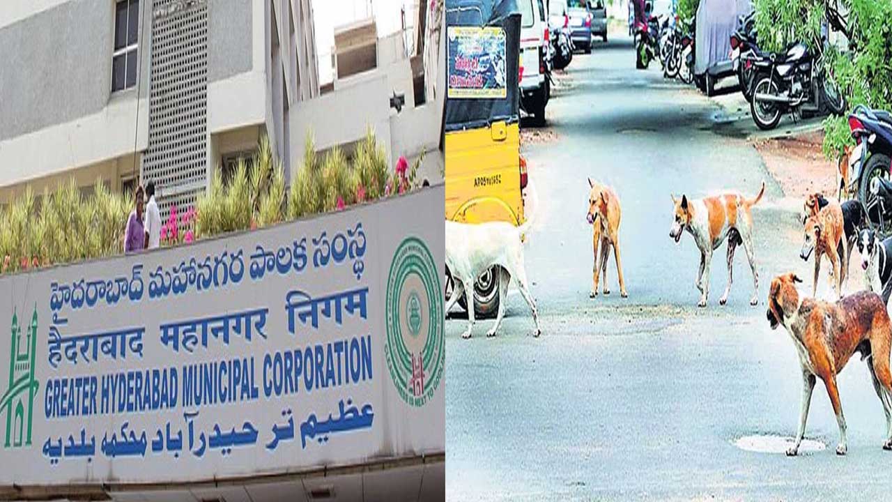 GHMC: హైదరాబాద్‌లో వీధికుక్కల నివారణకు హైలెవల్‌ కమిటీ