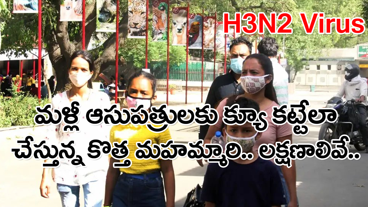 H3N2 Virus: అందరూ ఎందుకు H3N2 Virus గురించి ఇంతలా మాట్లాడుకుంటున్నారు..? నిజంగానే అంత డేంజరా..?