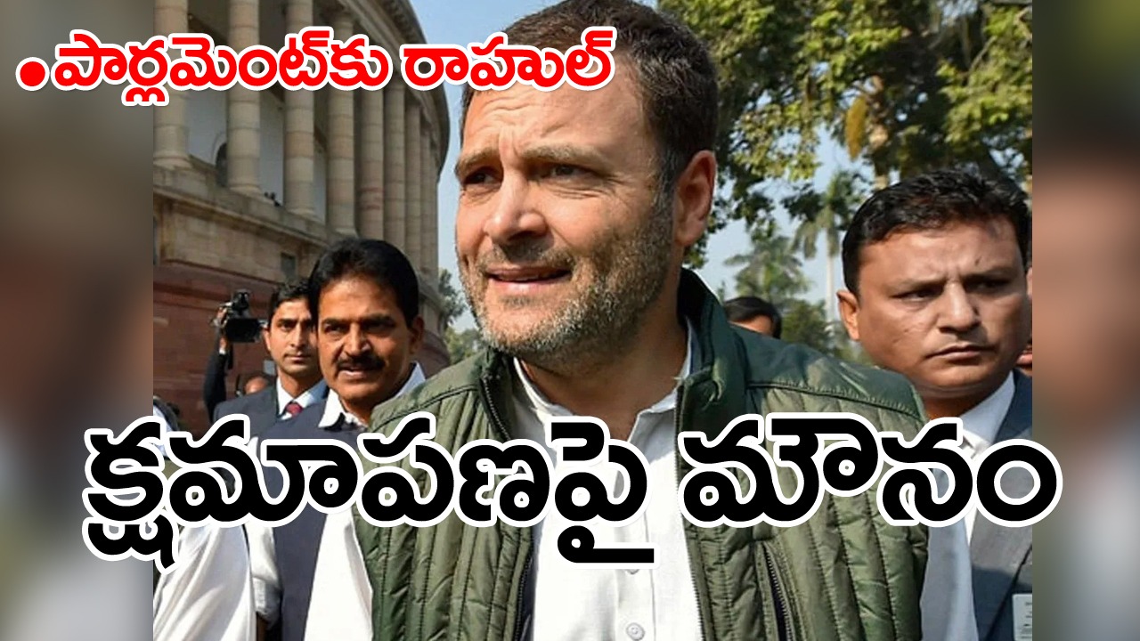 Rahul Gandhi: నవ్వులు చిందిస్తూ పార్లమెంట్‌లోకి అడుగుపెట్టిన రాహుల్