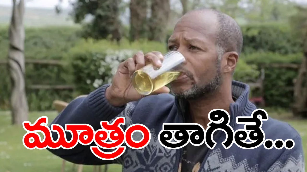 is urine good for health: మూత్రం తాగితే ఆరోగ్యం మెరుగుపడుతుందా?.... అందరూ ఛీకొట్టే ఈ వాదనలో నిజానిజాలేమిటో తెలిస్తే...