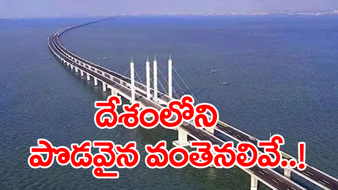 longest bridges: మన దేశంలోని పొడవైన ఐదు వంతెనలివే... వీటి ప్రత్యేకతలేమిటో తెలిస్తే...