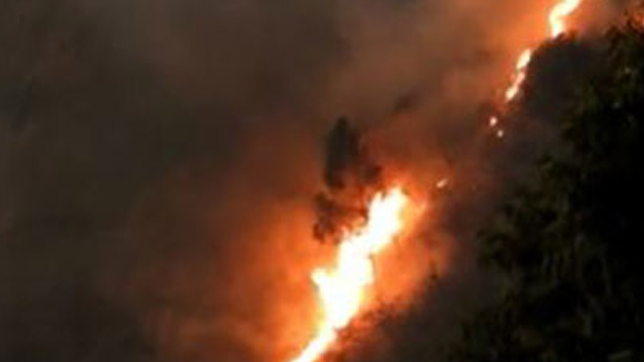 Forest Fire: కొడైకెనాల్ హిల్స్‌లో భారీ దావానలం