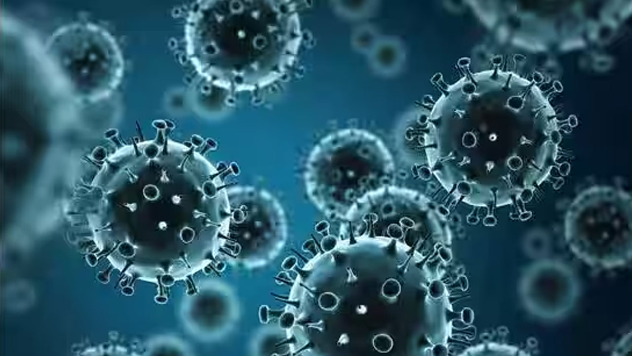 H3N2 Influenza Deaths : హెచ్3ఎన్2 ఇన్‌ఫ్లుయెంజాతో ఇద్దరి మృతి... మన దేశంలో ఇదే తొలిసారి...