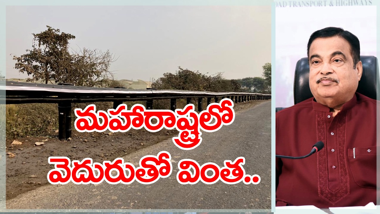 Bamboo Crash Barrier: ఈ వింత చూశారా?... హైవేపై వెదురుతో 200 మీటర్ల క్రాష్ బ్యారియర్