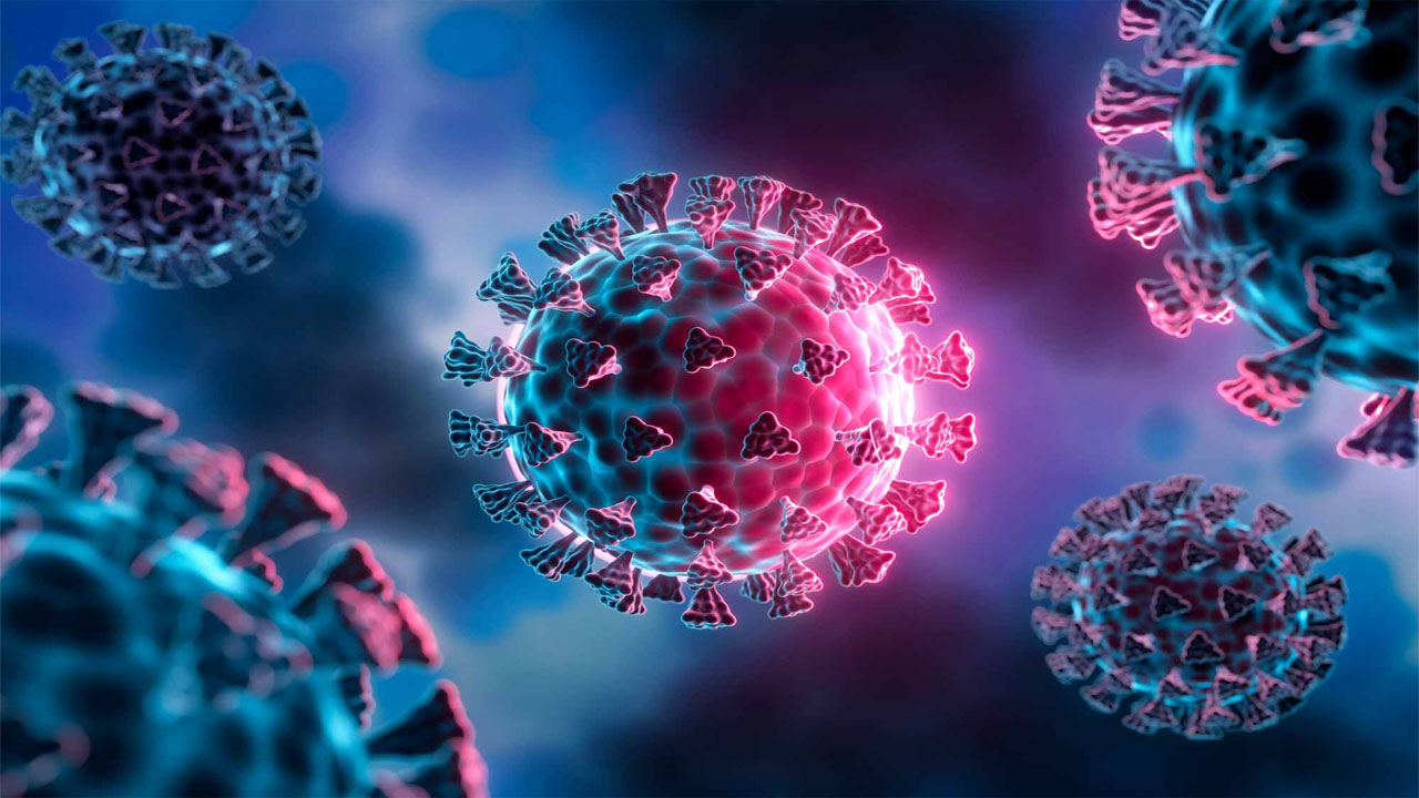 New virus: హెచ్‌3ఎన్‌2 వైరస్.. హాసన్‌లో వృద్ధుడి మృతి