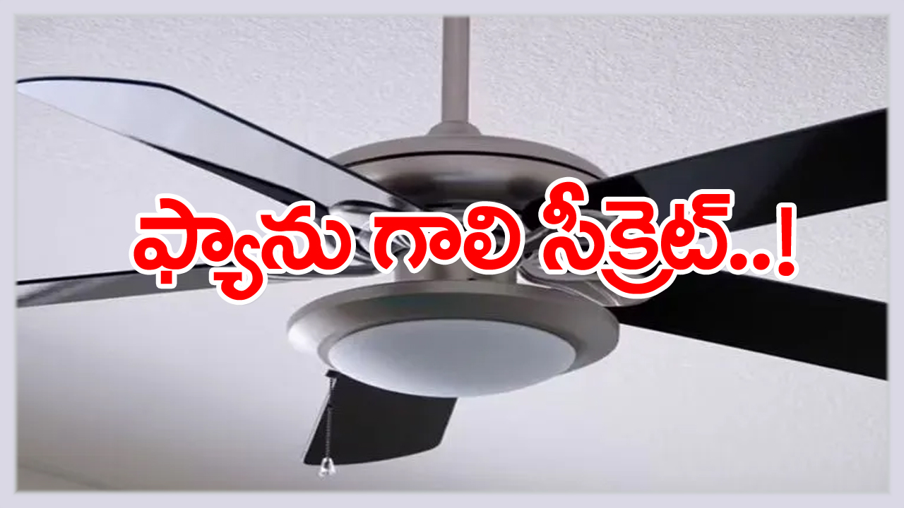 install best size fan: వేస‌విలో ఫ్యాన్ ఇలా ఫిట్ చేస్తే ఎంతో హాయి.. ముందుగా గ‌దుల ప‌రిమాణం.. రెక్క‌ల లెక్క‌లు ఇలా చూసుకోవాల్సిందే...