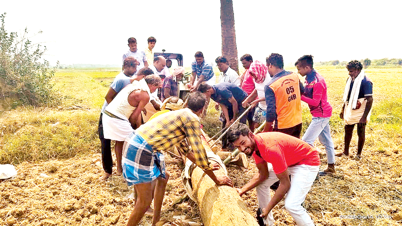 నేటి నుంచిసిరిమానోత్సవాలు