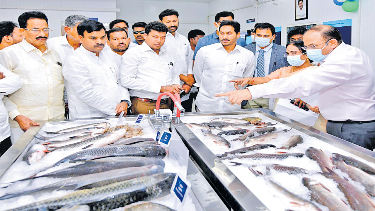 Fish Andhra Fail: ఫిష్‌ ఆంధ్రా తుస్‌