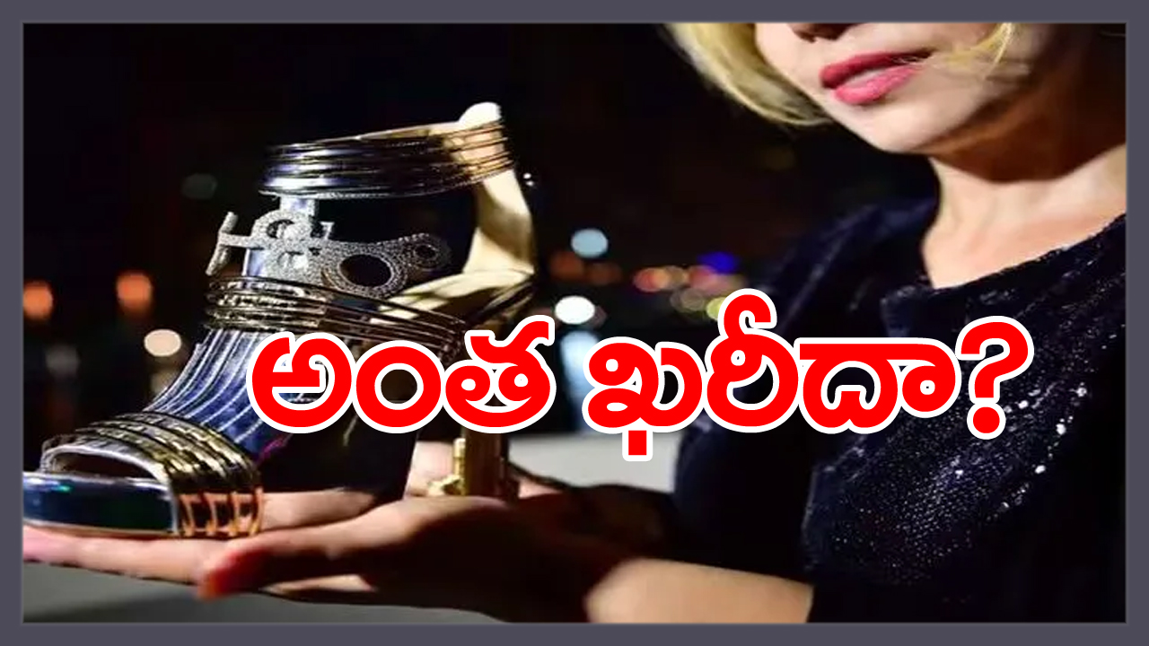 most expensive shoes: ఈ షూ ఖరీదెంతో తెలిస్తే కళ్లు తేలేస్తారు... ఇంత ధర ఎందుకో తెలిస్తే...