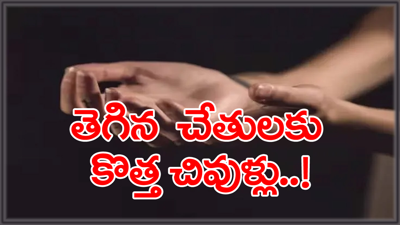 New research by scientists: కాలు పోతే కొత్త కాలు... చెయ్యి పోతే కొత్త చెయ్యి మొలిపిస్తారట... విజయవంతమవుతున్న శాస్త్రవేత్తల ప్రయత్నాలు!