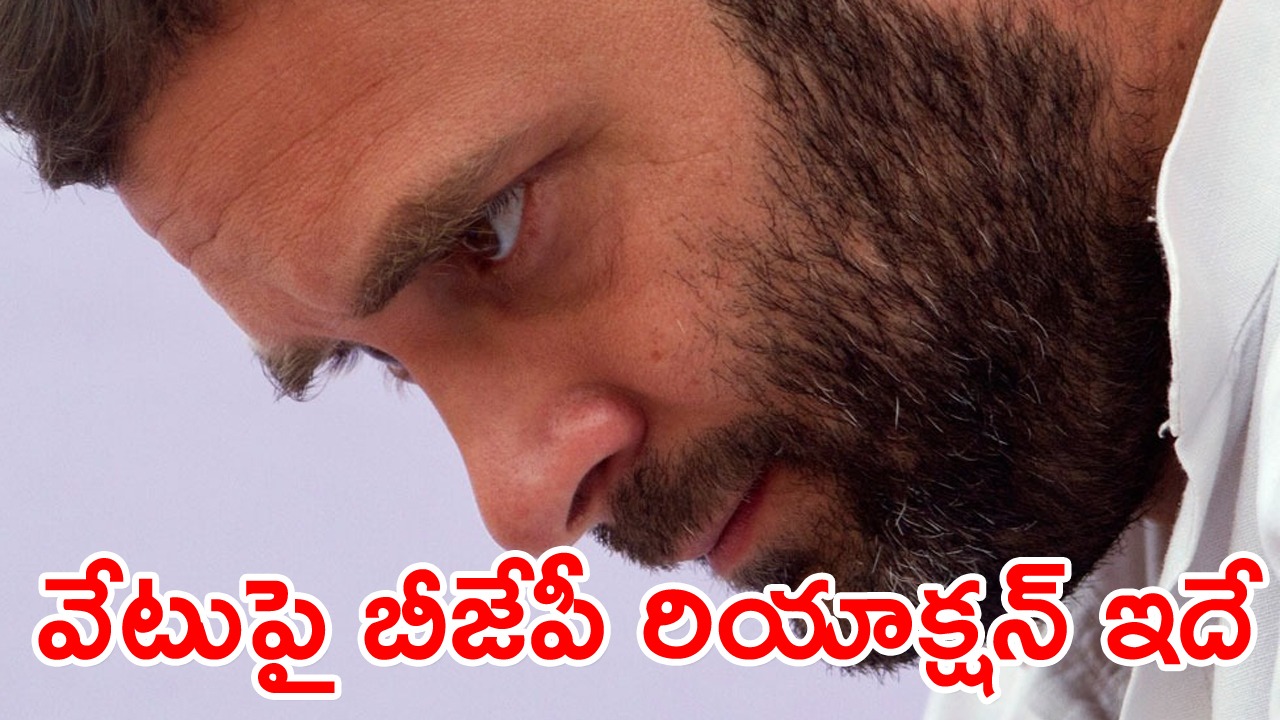 Rahul Gandhi Disqualification: షాకింగ్ కామెంట్స్ చేసిన కమలనాథులు 