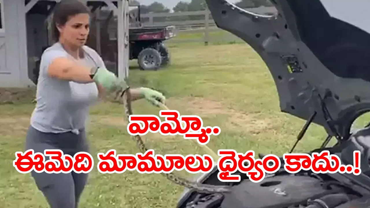 Viral Video: అమ్మ బాబోయ్.. ఈ మహిళకు ఎంత ధైర్యం.. కారు ఇంజిన్‌లో దూరిన పామును ఒంటి చేత్తో ఎలా పట్టేసిందో మీరే చూడండి..!