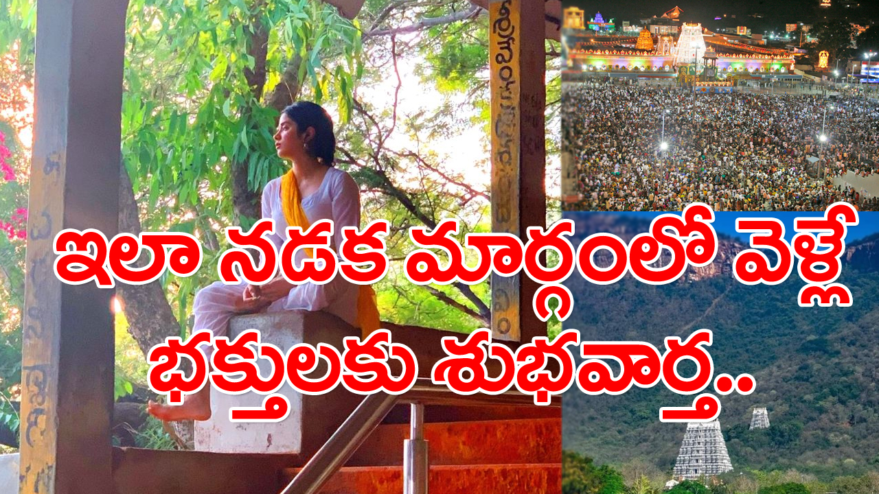 Tirumala Darsan: తిరుమలకు నడకమార్గంలో వెళ్లే భక్తులకు శుభవార్త