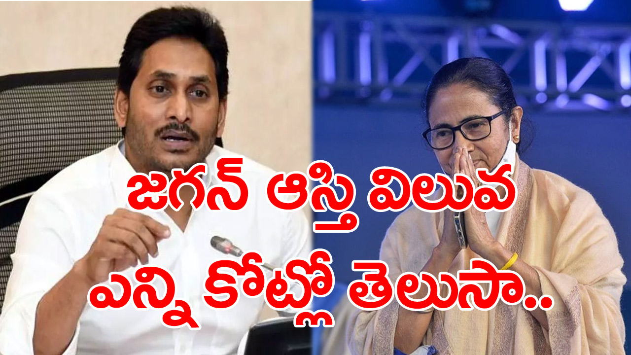 Jagan Vs Mamata : సంపన్న సీఎం జగన్.. నిరుపేద ముఖ్యమంత్రి మమత..