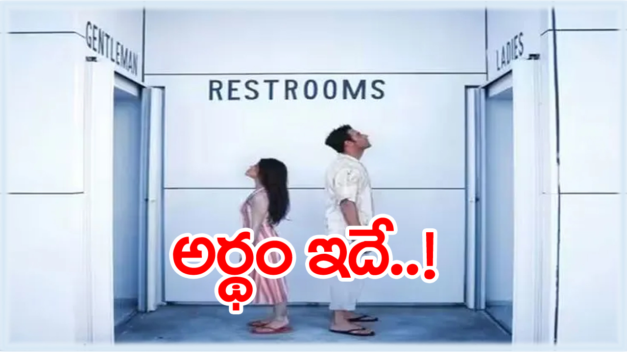 Bathroom Vs Washroom: బాత్రూమ్, వాష్‌రూమ్ ఒకేలాంటివి కావని, రెస్ట్ రూమ్‌కు సరైన అర్థం ఇదేనని మీకు తెలుసా?