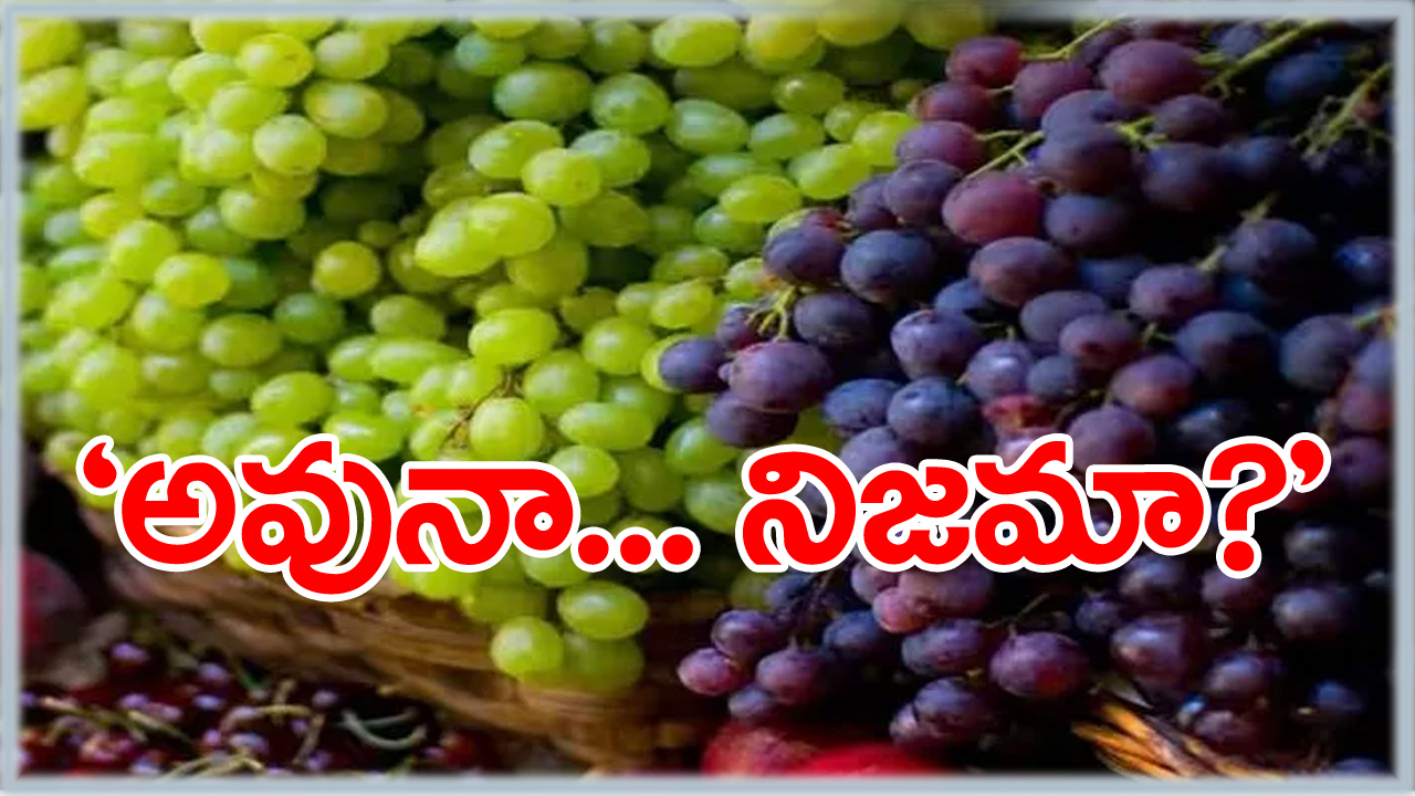 black grapes are expensive: నల్ల ద్రాక్షను చూస్తే నోరూరుతోందా? ఖరీదు వింటే కంగారు పుడుతోందా? ఈ సంగతి తెలిస్తే ‘అవునా... నిజమా’ అంటూ...