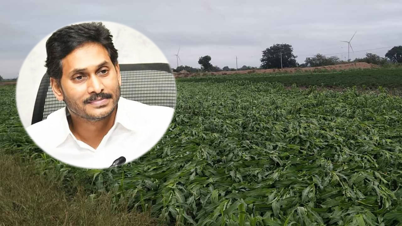 Jagan: రైతుల విషయంలో సీఎం జగన్ నిర్ణయాలు ఇవే