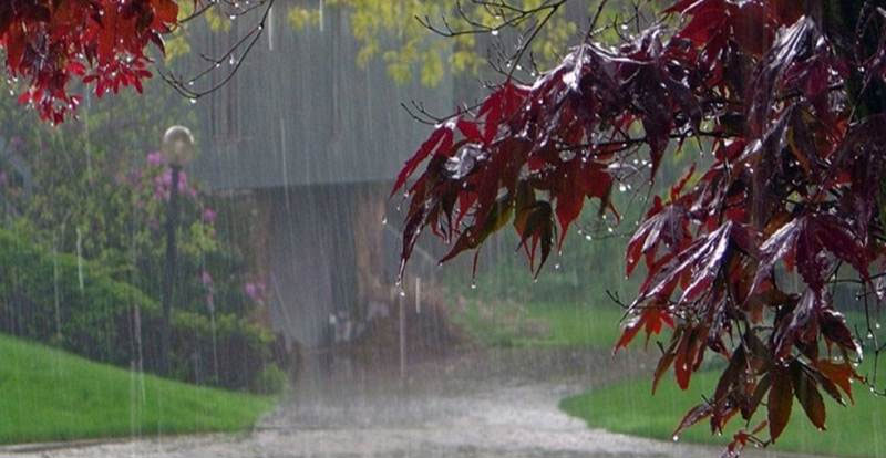 Rains: ఏపీలో మరో వారం రోజులు వర్షాలు