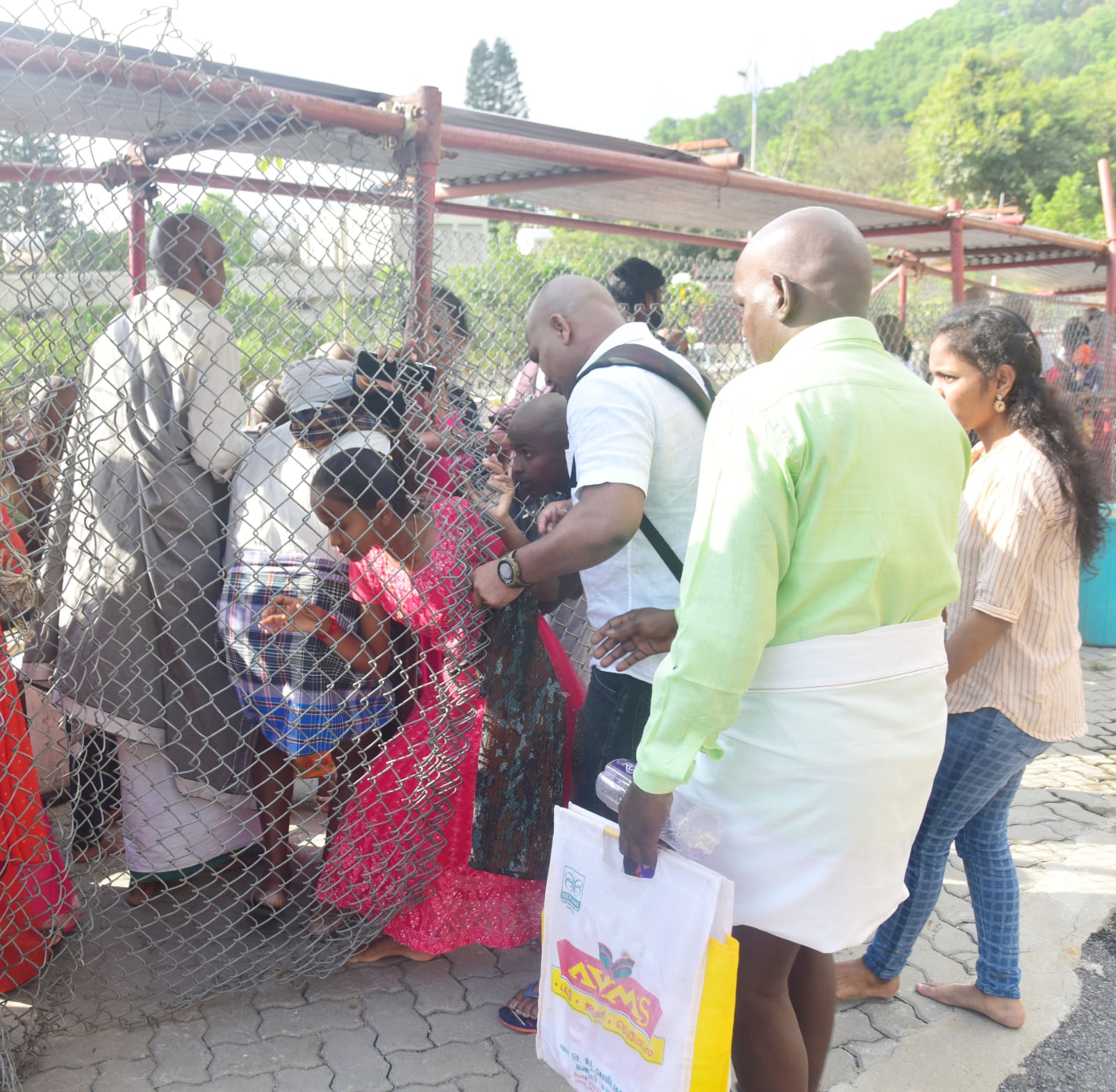 Tirumala: తిరుమల వెళ్లాలనుకుంటున్నారా.. అయితే అక్కడ ఉన్న పరిస్థితి చూస్తే..!