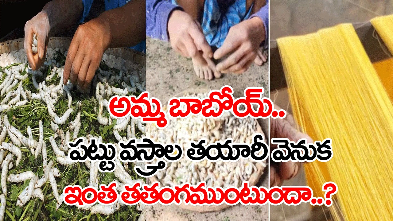 Viral Video: పట్టు పురుగుల నుంచి అసలు దారాన్ని ఎలా తీస్తారన్న డౌట్ ఎప్పుడైనా వచ్చిందా..? ఈ వీడియో చూస్తే ఫుల్లు క్లారిటీ ఖాయం..!