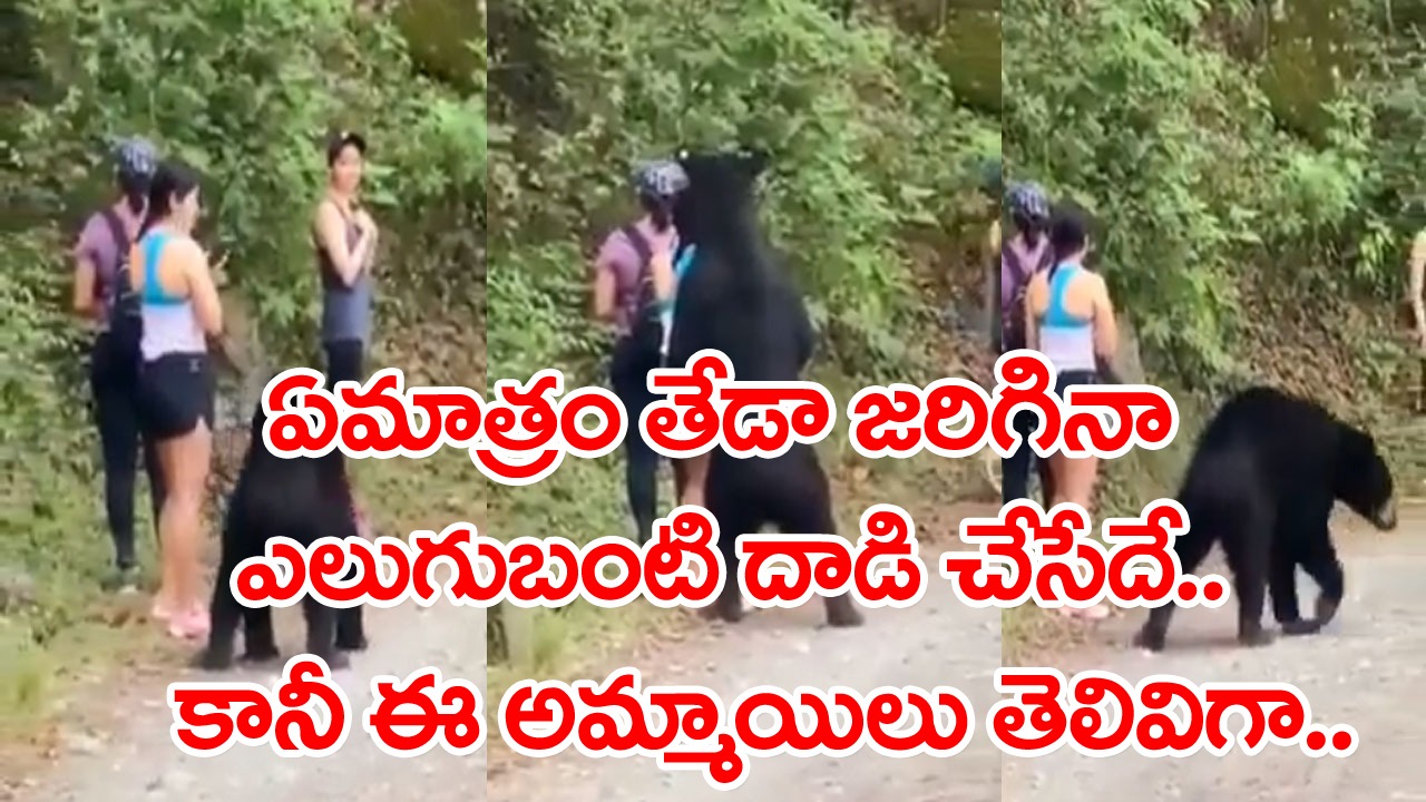 Viral Video: యువతిని పట్టుకుని లాగిన ఎలుగుబంటి.. వెన్నులో వణుకుపుడుతున్నా దాడి నుంచి తప్పించుకునేందుకు అమ్మాయిల మాస్టర్ ప్లాన్..!