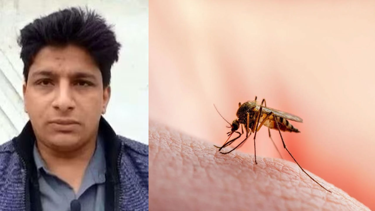 Viral: భర్తంటే ఇలా ఉండాలి.. తన భార్యను దోమలు కుడుతున్నాయంటూ ఫిర్యాదు.. వెంటనే స్పందించిన పోలీసులు ఏం చేశారంటే.. 