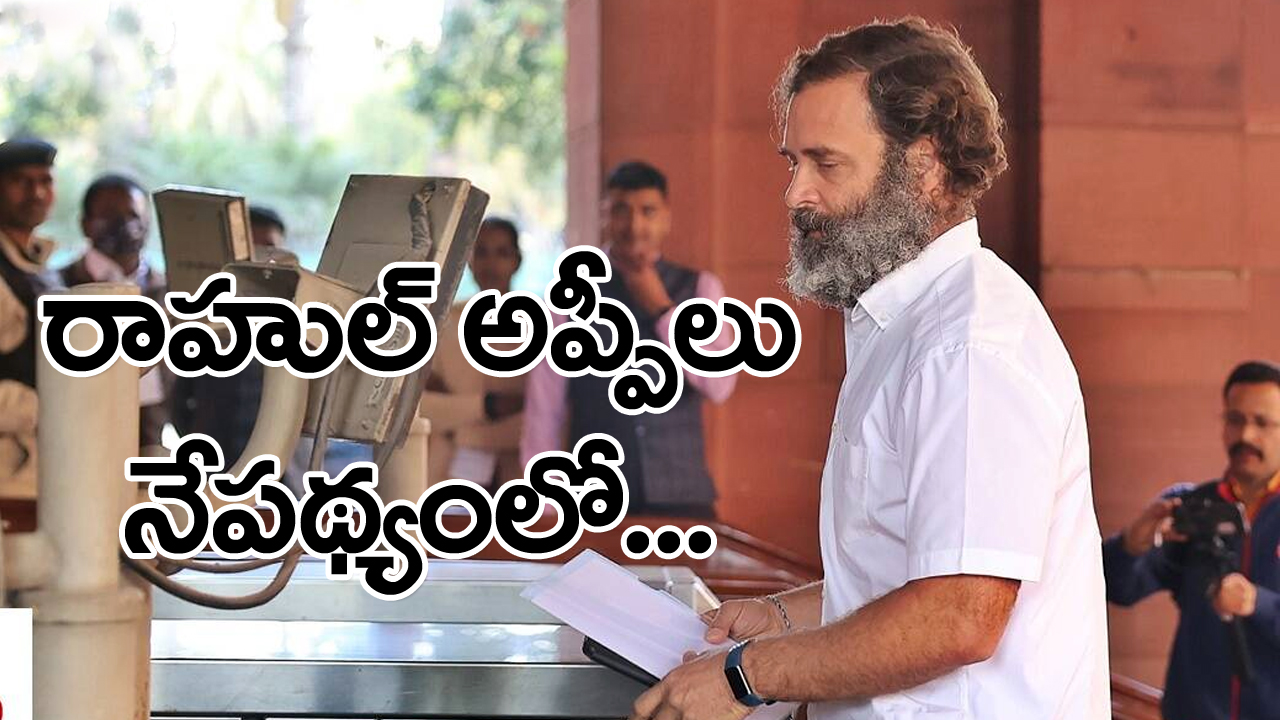 Sonia Gandhi: రాహుల్ నివాసానికి వచ్చిన సోనియా, ప్రియాంక...జైలు శిక్షపై అప్పీల్