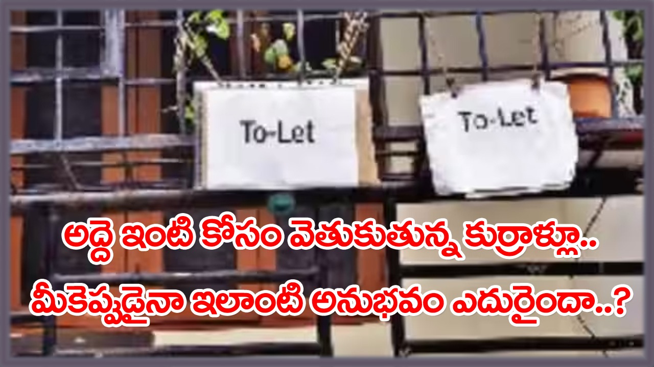 House For Rent: అద్దె ఇల్లు వెతుక్కుంటున్న ఓ బ్యాచిలర్‌కు షాకింగ్ అనుభవం.. ఇంటి ఓనర్లు ఈమధ్య ఇలాంటి వివరాలు కూడా అడుగుతున్నారా..?