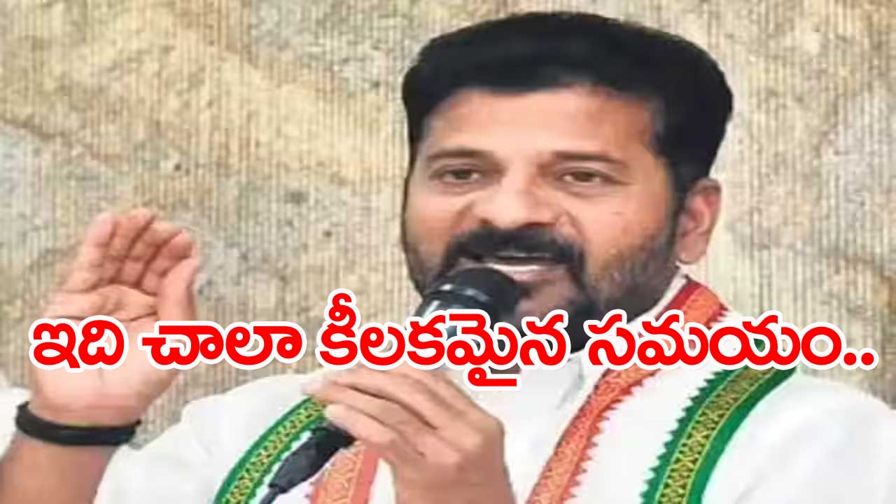 Revanth Reddy: రాబోయే 8 నెలలు అవిశ్రాంతంగా పని చేయాలి...