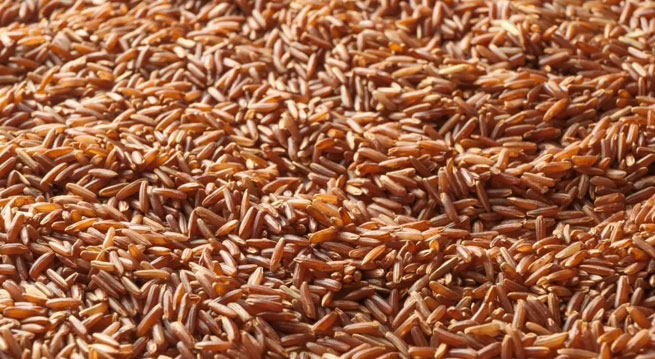 Red Rice : ఈ ఎర్ర బియ్యం గురించి ఎంతమందికి తెలుసు.. ఈ బియ్యం తింటే ఏం జరుగుతుందంటే..