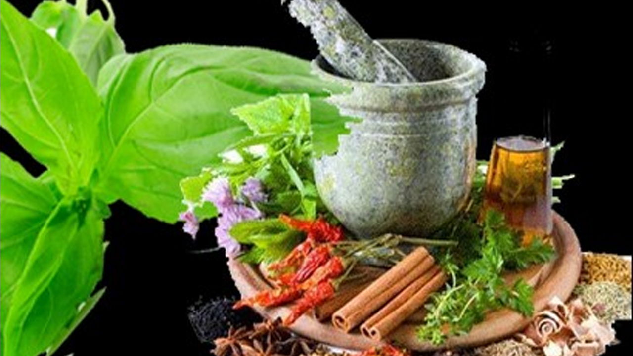 5 Herbs That Are Effective: మధుమేహం, రక్తపోటు దెబ్బకు పారిపోతాయి.. ఓసారి ట్రైయ్ చేయండి.
