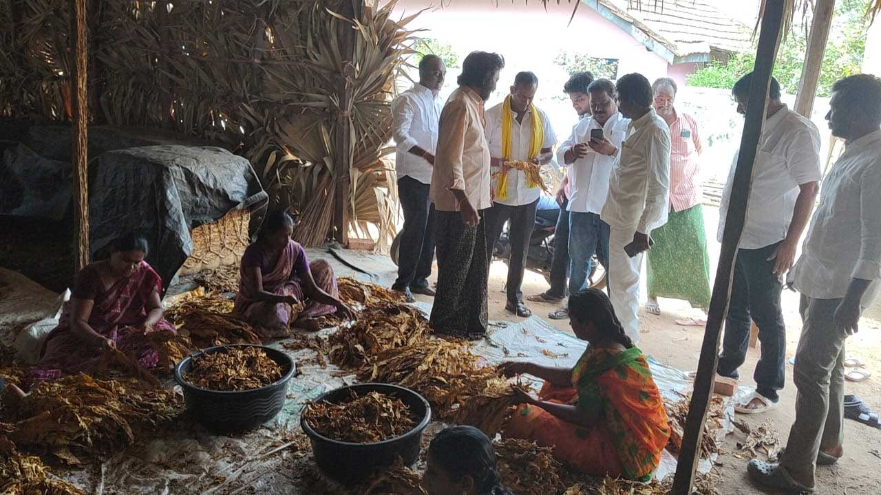 Bommaji Anil: రైతు కూలీల సమస్యల పరిష్కరించేందుకు టీడీపీ కృషి చేస్తోంది