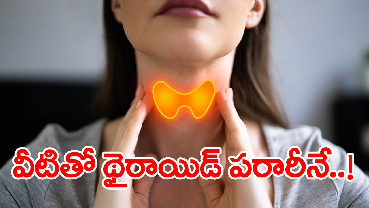 thyroid health: ఈ 7 ఆహారపదార్థాలు థైరాయిడ్ తగ్గించడంలో వరం లాంటివి.. మీరు తింటున్నారా మరి?