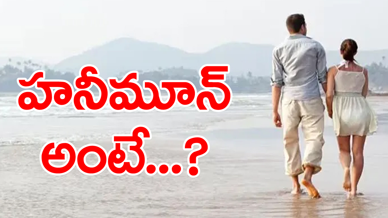 కొత్త జంట చేసే తొలి విహార యాత్రను హనీమూన్ అని ఎందుకు అంటారు? దీనికి తేనెతో, చంద్రునితో గల సంబంధం ఏమిటో తెలిస్తే...