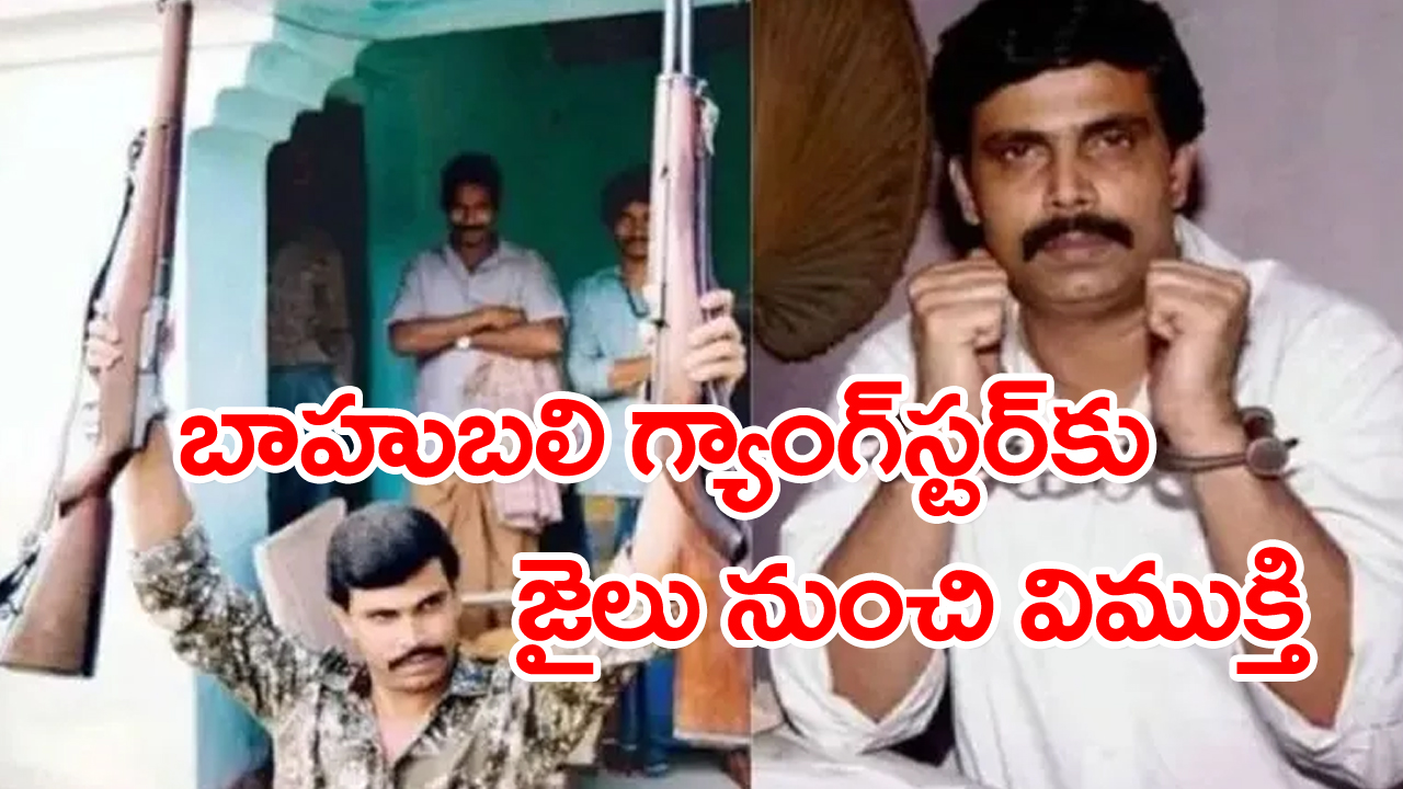 Gangster Bahubali leader: ఆనంద్ మోహన్ 14 ఏళ్ల తర్వాత జైలు విడుదల...బీహార్ సర్కారు ఉత్తర్వులు