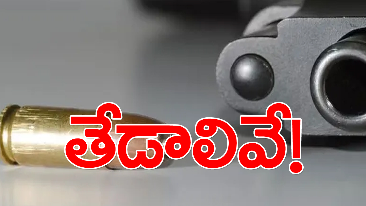 రివాల్వర్.. పిస్టల్ రెండూ ఒకటేనా? వాటి పనితీరులో తేడాలేమిటి?... ఈ సందేహానికి సమాధానమిదే! 