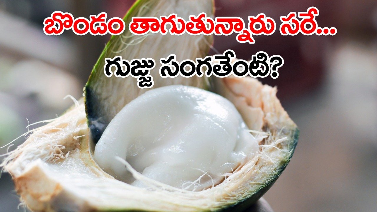 Coconut Malai: ఎండా కాలం కదా.. కొబ్బరి బోండాం నీళ్లు తాగడం మంచిదే.. కానీ నీళ్లు తాగి బోండాంలో ఉండే కొబ్బరిని పట్టించుకోకుండా పడేస్తుంటారా..!