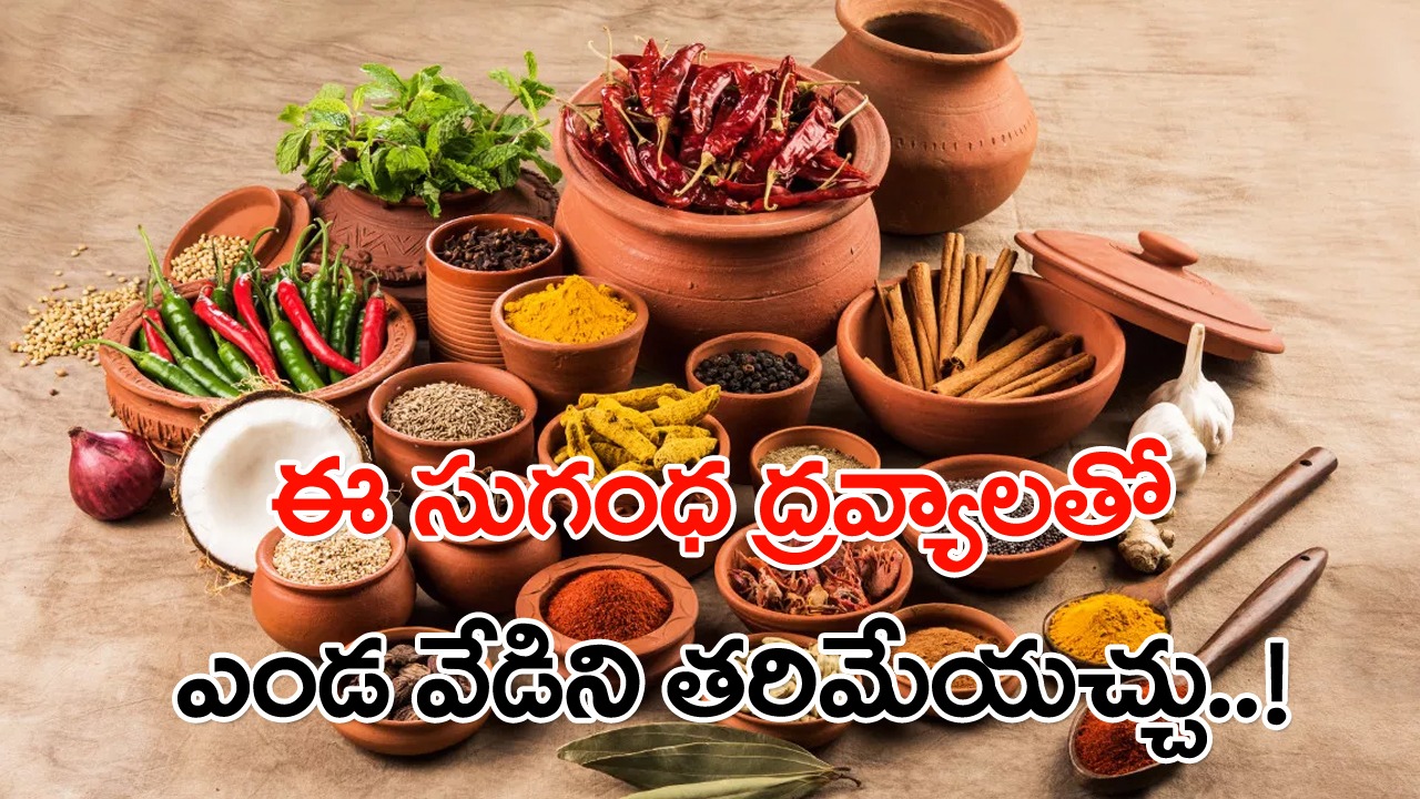 Summer: ఈ వేసవిలో మీకు సహాయపడే కొన్ని మూలికలు, సుగంధ ద్రవ్యాలను వాడి వేడిని తప్పించుకోండి..! అవేంటంటే..!