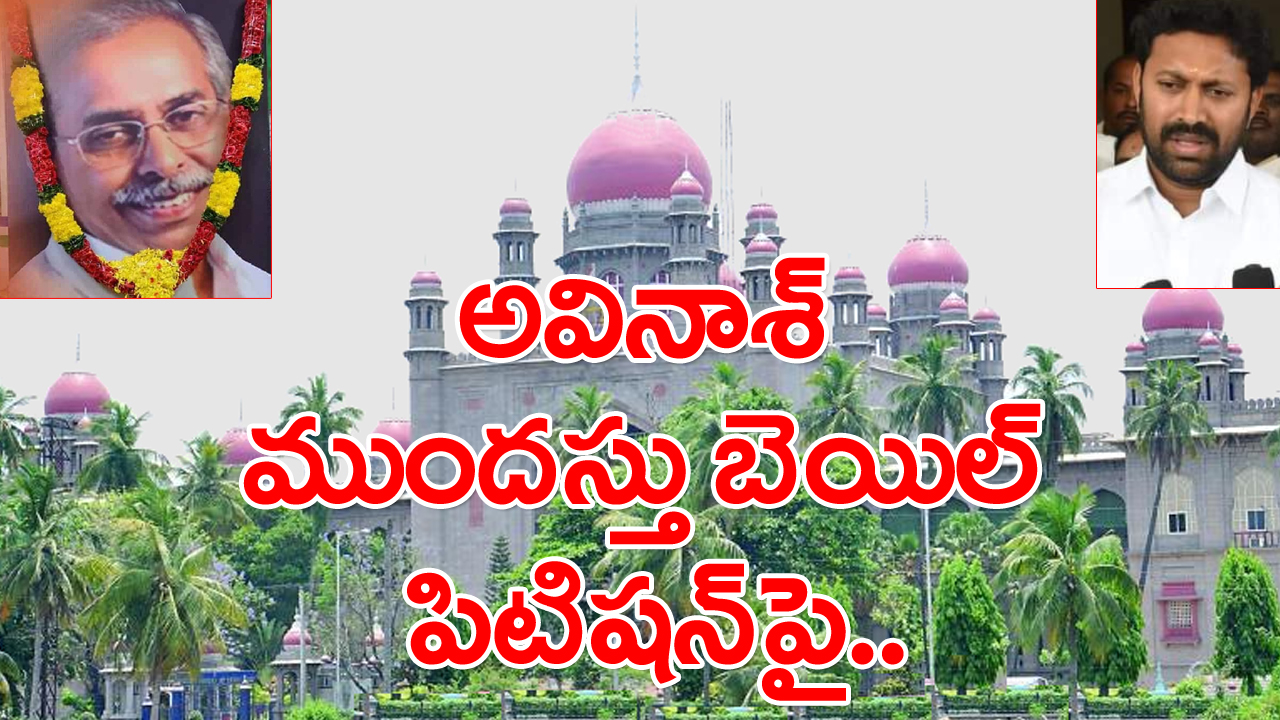 YS Viveka Case Avinash Reddy: అవినాశ్ రెడ్డి ముందస్తు బెయిల్ పిటిషన్‌పై తెలంగాణ హైకోర్టులో ఏం జరిగిందంటే..