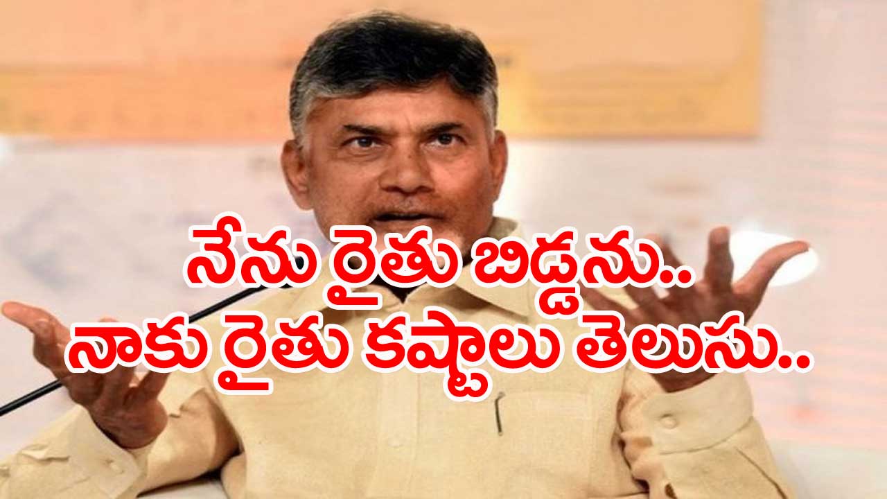 Chandrababu: మీటర్లు పెట్టి రైతుల మెడకి జగన్ ఉచ్చు బిగించారు..