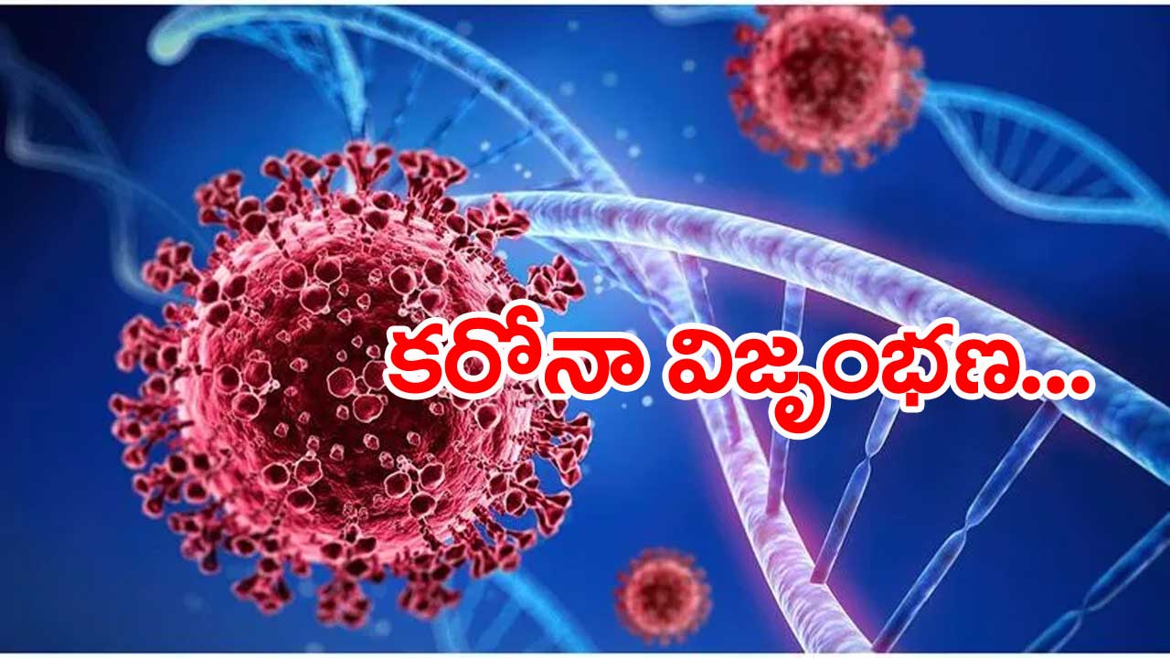 మహబూబాబాద్ జిల్లాలో కరోనా కలకలం...