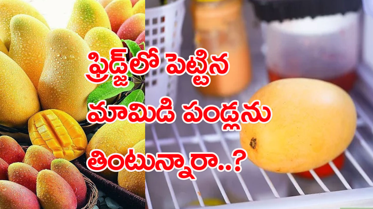 Fridge: మామిడి పండ్లను ఫ్రిడ్జ్‌లో పెడుతున్నారా..? తినే ముందు ఈ ఒక్క పని చేయడం మాత్రం మర్చిపోకండి..!