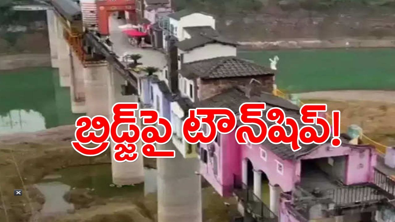 Township On Bridge: ఏం ఐడియా గురూ.. బ్రిడ్జిపైన ఓ టౌన్‌షిప్‌నే కట్టేశారుగా.. ఐడియా బాగానే ఉంది కానీ..!