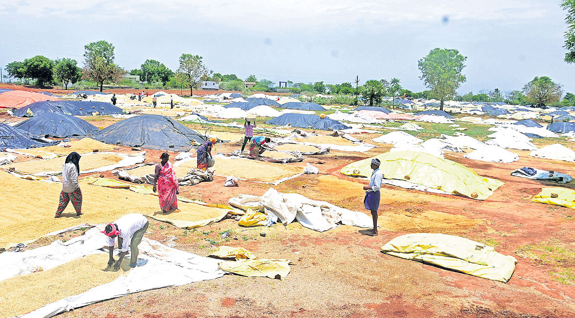 అన్నదాత ఆగమాగం