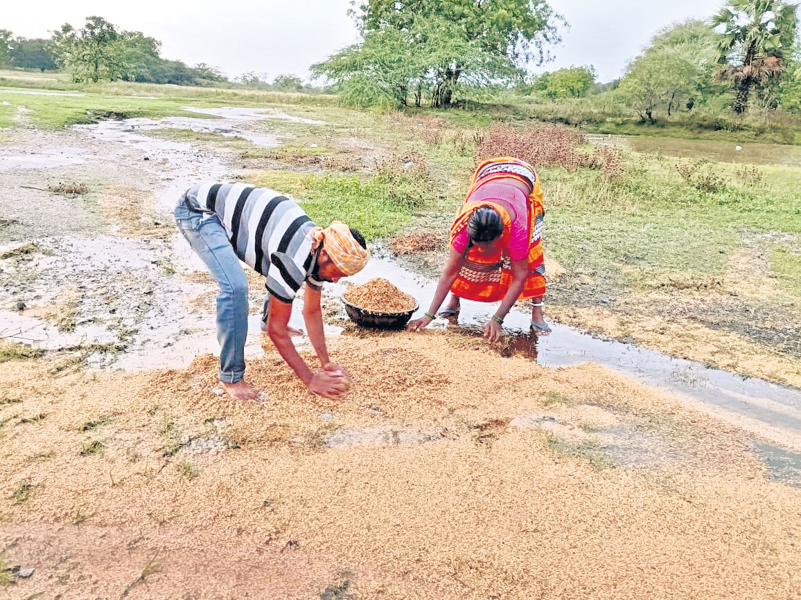 అన్నదాత ఆగమాగం