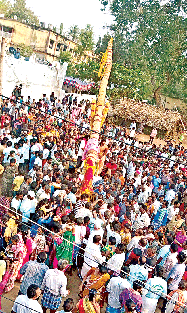 అంబరాన్నంటిన సిరిమాను సంబరం